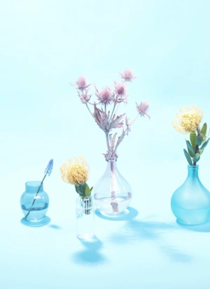 Johannes Ruppel Fotograf Kunstfotografie Blumen Stillleben-4 Johannes Ruppel Fotograf Kunstfotografie Blumen Stillleben-4