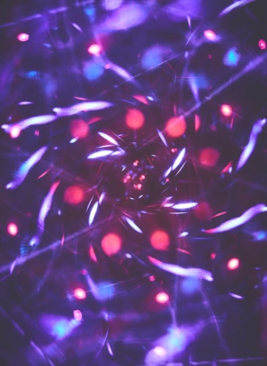 Johannes Ruppel Fotograf Kunstfotografie Macro Bulb-1 Johannes Ruppel Fotograf Kunstfotografie Macro Bulb-1