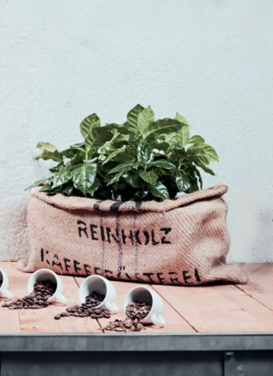 2023-08-22 Reinholz Onlineshop Kategorien2976-kl 2023-08-22 Reinholz Onlineshop Kategorien2976-kl