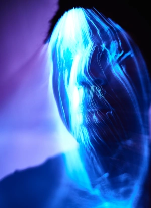 Johannes Ruppel Fotograf Kunstfotografie Blaues Licht-2 Johannes Ruppel Fotograf Kunstfotografie Blaues Licht-2