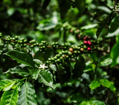 Johannes Ruppel Fotograf Imagefotografie Reinholz Kolumbien-14 Johannes Ruppel Fotograf Imagefotografie Reinholz Kolumbien-14