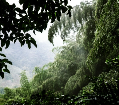 Johannes Ruppel Fotograf Imagefotografie Reinholz Kolumbien-12 Johannes Ruppel Fotograf Imagefotografie Reinholz Kolumbien-12