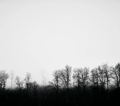 Johannes Ruppel Fotograf Kunstfotografie Mystische Rhön-1