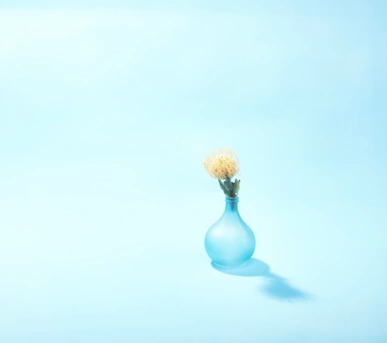Johannes Ruppel Fotograf Kunstfotografie Blumen Stillleben-1