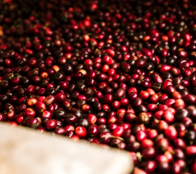 Johannes Ruppel Fotograf Imagefotografie Reinholz Kolumbien-06 Johannes Ruppel Fotograf Imagefotografie Reinholz Kolumbien-06