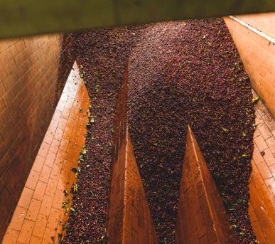 Johannes Ruppel Fotograf Imagefotografie Reinholz Kolumbien-27 Johannes Ruppel Fotograf Imagefotografie Reinholz Kolumbien-27