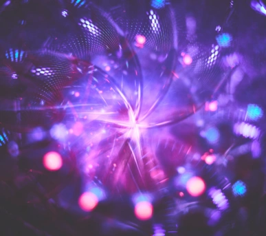 Johannes Ruppel Fotograf Kunstfotografie Macro Bulb-3 Johannes Ruppel Fotograf Kunstfotografie Macro Bulb-3