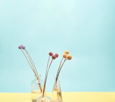 Johannes Ruppel Fotograf Kunstfotografie Blumen Stillleben-3 Johannes Ruppel Fotograf Kunstfotografie Blumen Stillleben-3