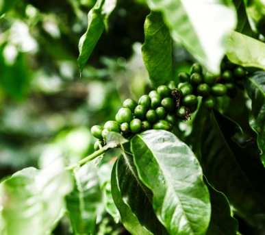 Johannes Ruppel Fotograf Imagefotografie Reinholz Kolumbien-08 Johannes Ruppel Fotograf Imagefotografie Reinholz Kolumbien-08