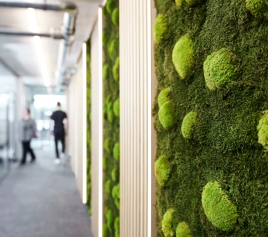 Johannes Ruppel Fotograf Imagefotografie Schneider Engineering Bremen-04 Johannes Ruppel Fotograf Imagefotografie Schneider Engineering Bremen-04