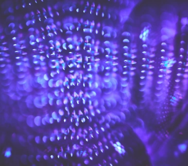 Johannes Ruppel Fotograf Kunstfotografie Macro Bulb-4 Johannes Ruppel Fotograf Kunstfotografie Macro Bulb-4