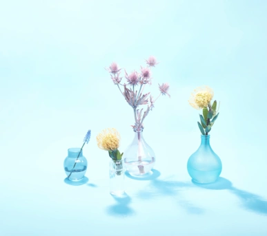 Johannes Ruppel Fotograf Kunstfotografie Blumen Stillleben-6