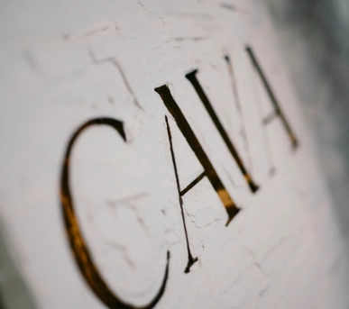 CAVA Eröffnung -05 CAVA Eröffnung -05