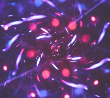 Johannes Ruppel Fotograf Kunstfotografie Macro Bulb-1 Johannes Ruppel Fotograf Kunstfotografie Macro Bulb-1