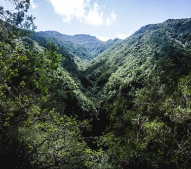 Johannes Ruppel Fotograf Outdooffotografie Madeira-8