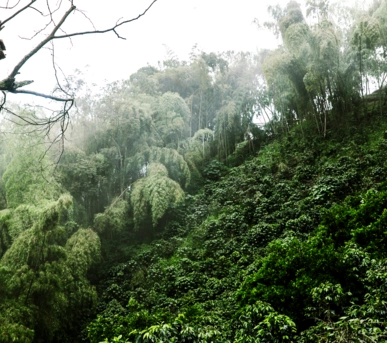 Johannes Ruppel Fotograf Imagefotografie Reinholz Kolumbien-15