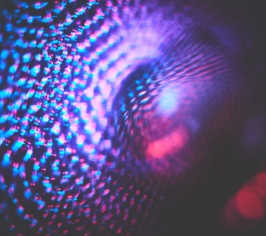 Johannes Ruppel Fotograf Kunstfotografie Macro Bulb-2 Johannes Ruppel Fotograf Kunstfotografie Macro Bulb-2