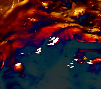 Johannes Ruppel Fotograf Kunstfotografie Coffee Klatsch-09 Johannes Ruppel Fotograf Kunstfotografie Coffee Klatsch-09