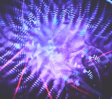 Johannes Ruppel Fotograf Kunstfotografie Macro Bulb-5 Johannes Ruppel Fotograf Kunstfotografie Macro Bulb-5