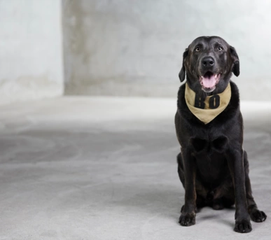 Johannes Ruppel Fotograf Businessfotografie objecthouse-1 Johannes Ruppel Fotograf Businessfotografie objecthouse-1