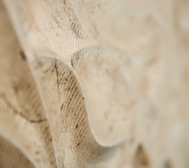 Esperanto Buffet -6 Esperanto Buffet -6