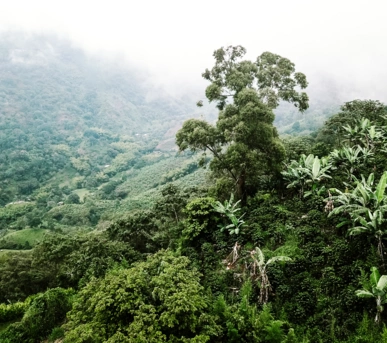 Johannes Ruppel Fotograf Imagefotografie Reinholz Kolumbien-01 Johannes Ruppel Fotograf Imagefotografie Reinholz Kolumbien-01