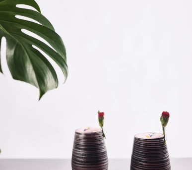 Johannes Ruppel Fotograf Foodfotografie Stölzle- 20