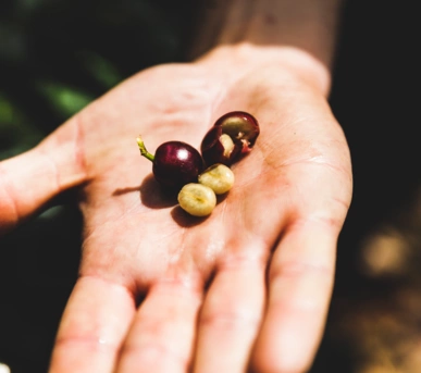 Johannes Ruppel Fotograf Imagefotografie Reinholz Kolumbien-32