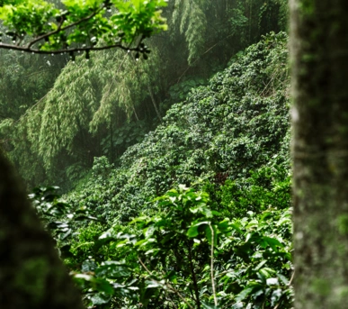 Johannes Ruppel Fotograf Imagefotografie Reinholz Kolumbien-13