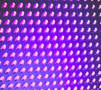 Johannes Ruppel Fotograf Kunstfotografie Macro Bulb-8 Johannes Ruppel Fotograf Kunstfotografie Macro Bulb-8