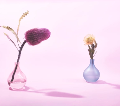 Johannes Ruppel Fotograf Kunstfotografie Blumen Stillleben-1 Johannes Ruppel Fotograf Kunstfotografie Blumen Stillleben-1