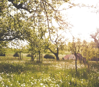 Johannes Ruppel Fotograf Imagefotografie Christoph Jestädt-3 Johannes Ruppel Fotograf Imagefotografie Christoph Jestädt-3