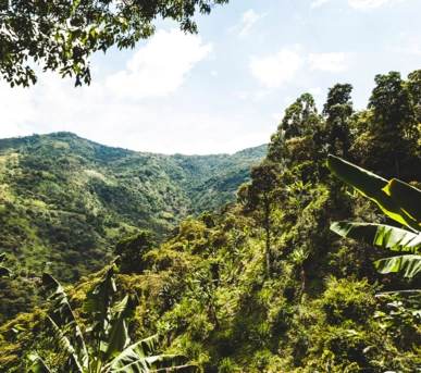 Johannes Ruppel Fotograf Imagefotografie Reinholz Kolumbien-25 Johannes Ruppel Fotograf Imagefotografie Reinholz Kolumbien-25