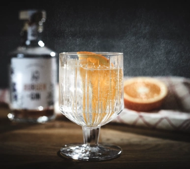 Johannes Ruppel Fotograf Foodfotografie Burgen Drinks Gin-05