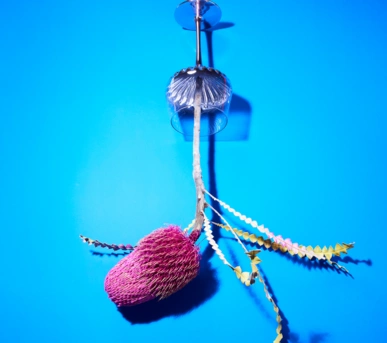 Johannes Ruppel Fotograf Kunstfotografie Blumen Stillleben-7