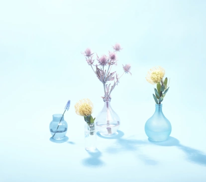 2023-03-02 Ausstellung Blumen Schatten0850-kl
